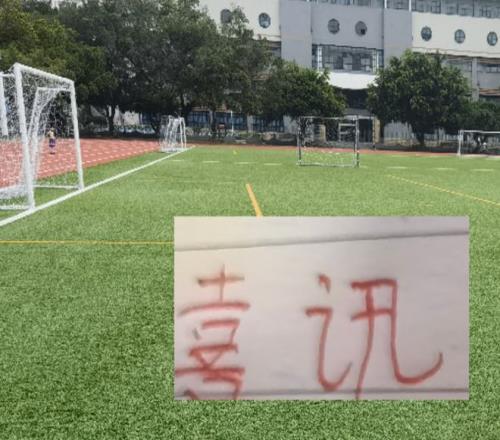 里昂主场挑,战摩纳哥,专家分析能,中国竞彩网,中国竞彩网首页,中国竞彩网首页官方