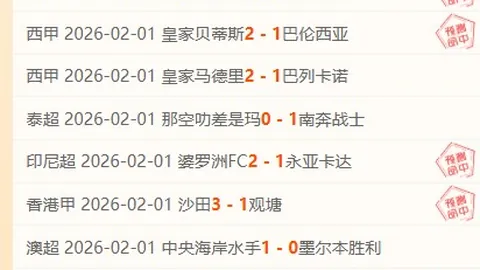 大乐透期号专家质合分析：前区十码推荐及美因茨欧会杯挑战